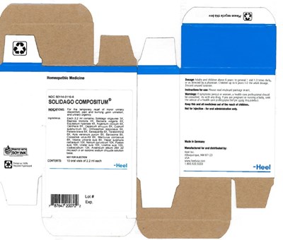 Solidago Compositum Oral Vial.jpg - Solidago Compositum Oral Vial